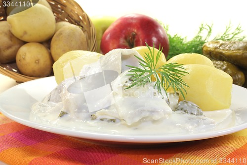 Image of cream marinated herring