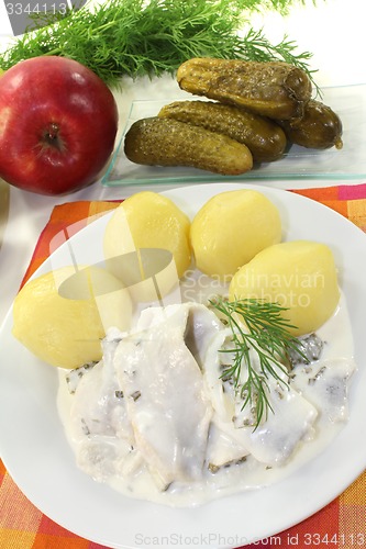 Image of cream marinated herring with apple