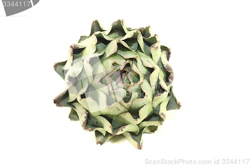 Image of one whole artichoke