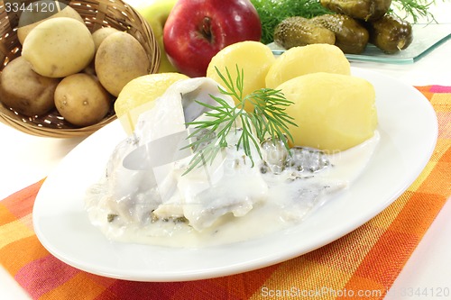 Image of cream marinated herring with dill