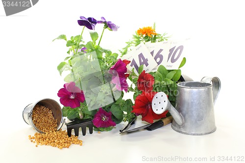 Image of slow-release Fertilizer with garden tools