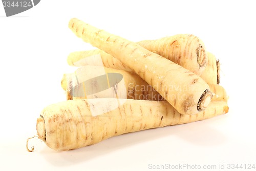 Image of fresh beige Parsnips