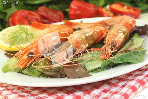 Image of Shrimp