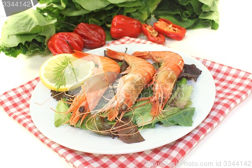 Image of fresh Shrimp