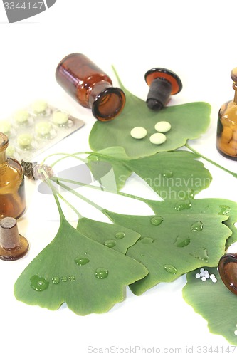 Image of Ginkgo leaves with globules and tablets