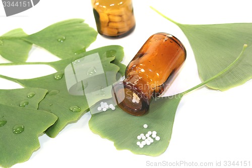 Image of Ginkgo leaves with globules and pharmacist bottles