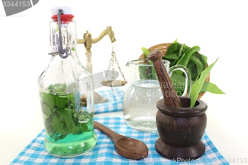 Image of wild garlic tincture with mortar