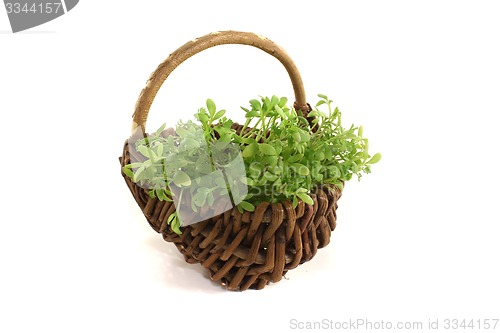 Image of garden cress in a basket