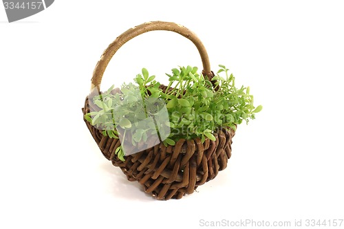 Image of garden cress in a basket