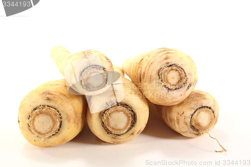 Image of fresh Parsnip