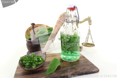 Image of wild garlic tincture