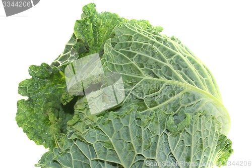 Image of savoy cabbage