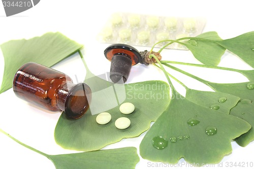 Image of Ginkgo leaves with pills