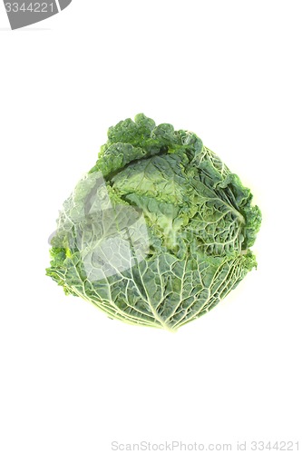 Image of savoy cabbage