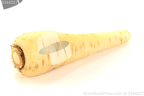 Image of beige Parsnip