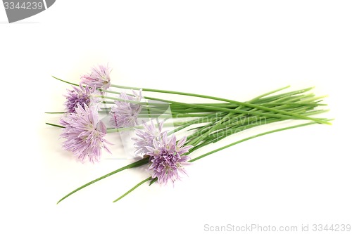 Image of chives with leaves and blossoms