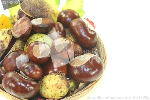 Image of horse chestnuts in a basket