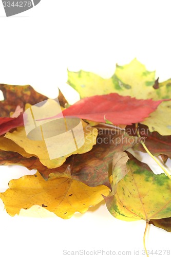 Image of decorative autumn leaves