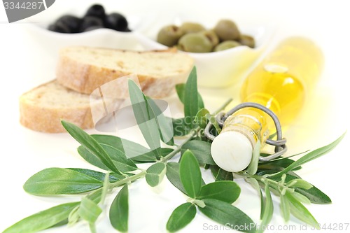 Image of Bottle of olive oil with branch