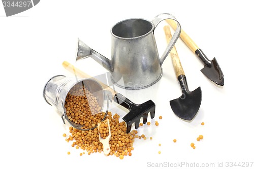 Image of Fertilizer with watering can