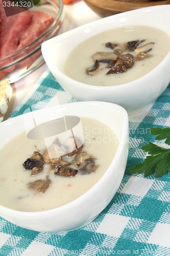 Image of delicious Veal cream soup with parsley