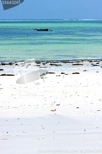 Image of beach   in zanzibar  ocean tanzania       sky    sailing