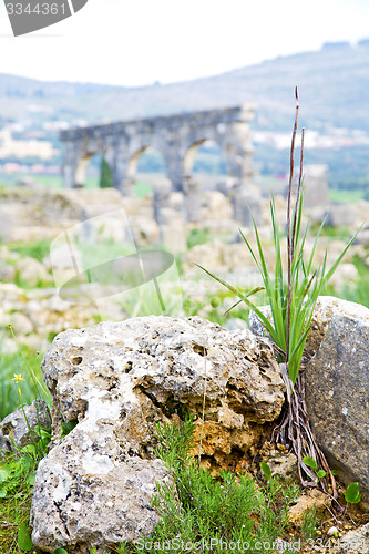 Image of volubilis in morocco  the old roman   monument and site
