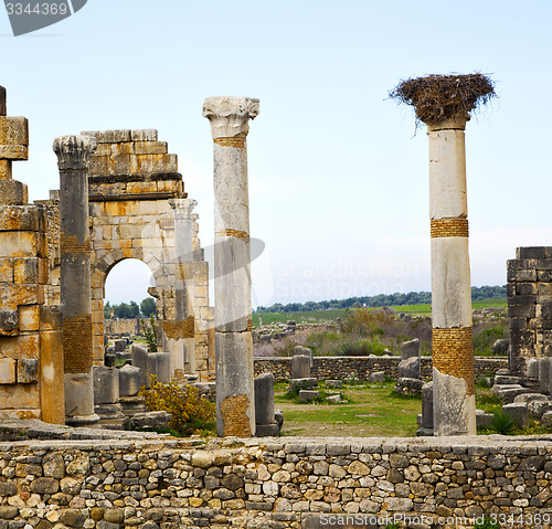 Image of volubilis in morocco africa the old roman deteriorated monument 