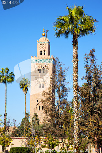 Image of  muslim the history  symbol  in morocco  palm