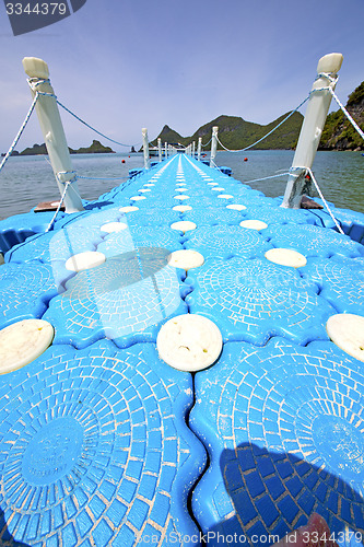 Image of plastic pier   of a  green lagoon  thailand kho phangan   bay  