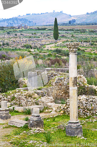 Image of volubilis in morocco   site