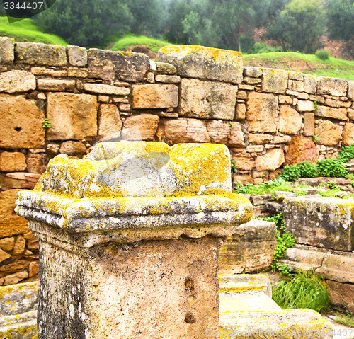 Image of chellah  in morocco africa the old roman deteriorated monument a