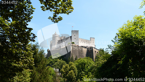 Image of Hohensalzburg Fortress framed by trees in Salzburg