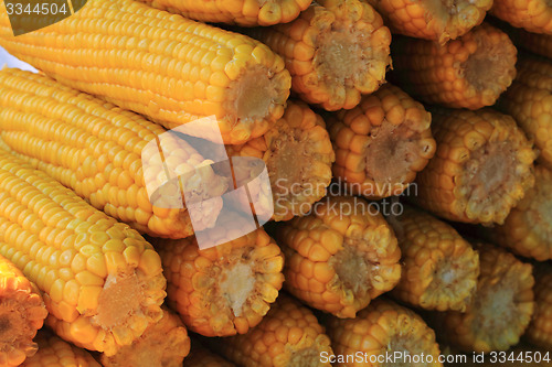 Image of sweet corn background
