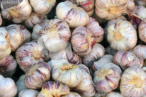 Image of czech strong garlic background