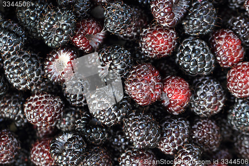 Image of blackberries background
