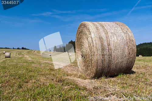 Image of Bales of hay