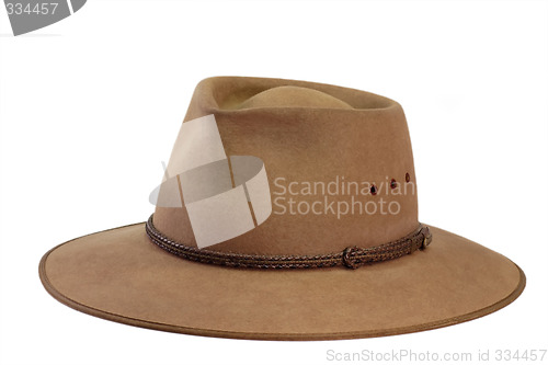 Image of Brown Hat