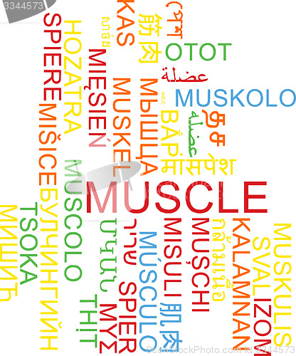 Image of Muscle multilanguage wordcloud background concept