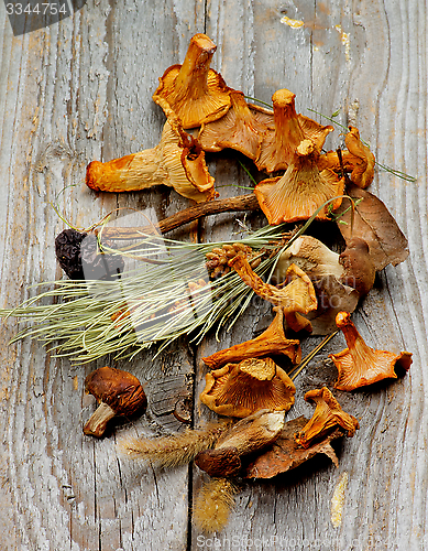 Image of Dried Mushrooms