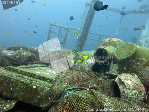 Image of massive shipwreck, sits on a sandy seafloor in bali