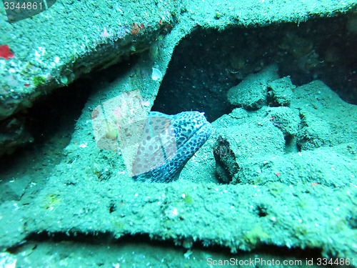 Image of massive shipwreck, sits on a sandy seafloor in bali