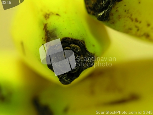 Image of Banana macro