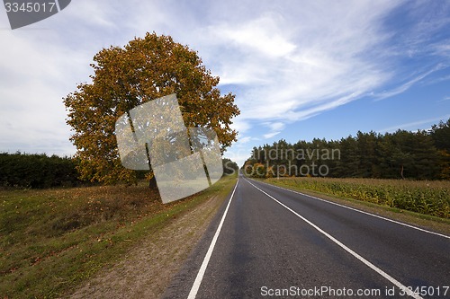 Image of the autumn road  