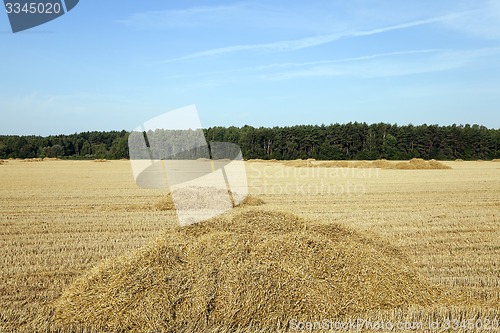 Image of agricultural field  