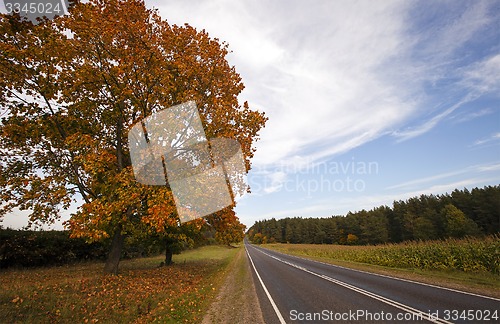 Image of road in the fall  