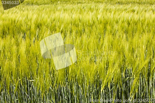 Image of agricultural field  