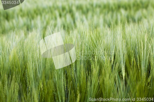 Image of agricultural field  