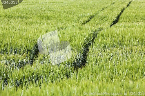 Image of agricultural field  