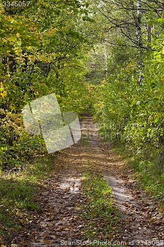 Image of autumn road  